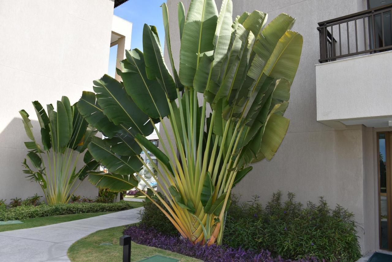 Boutique Ecolife Apartment Porto de Galinhas Ngoại thất bức ảnh